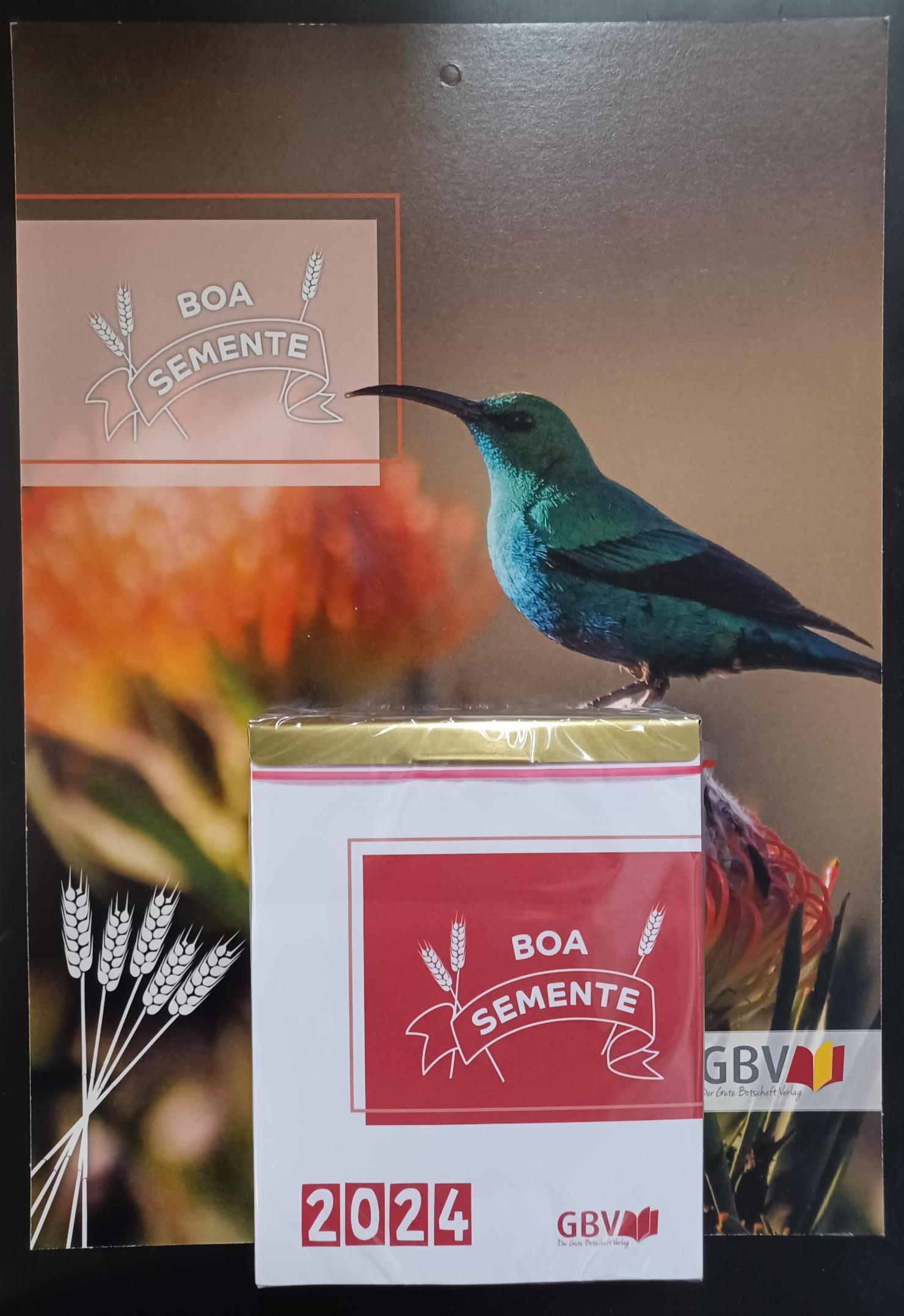 Tagesabreißkalender 2024 Portugiesisch